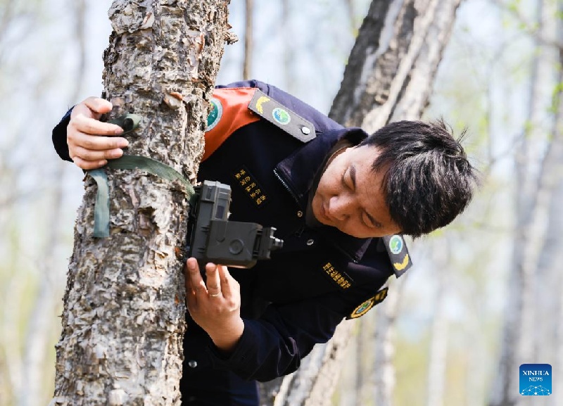 La Chine fait des progrès dans la protection de la biodiversité