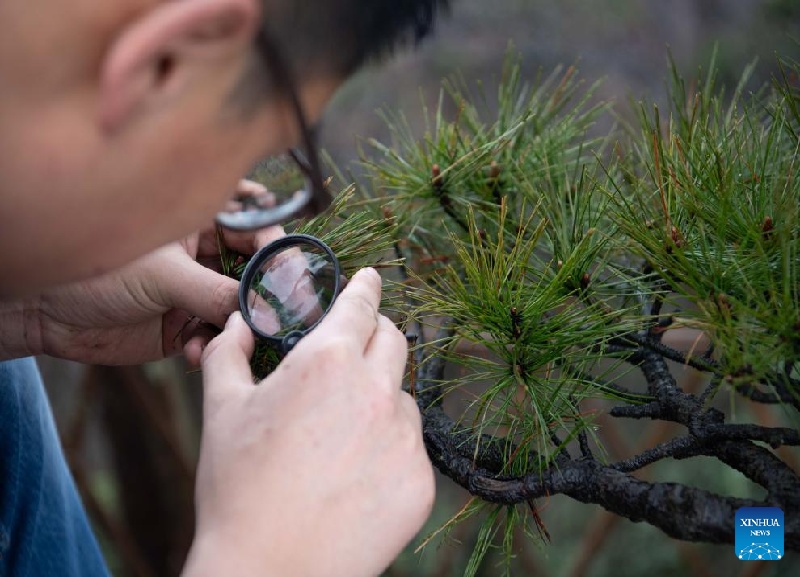 La Chine fait des progrès dans la protection de la biodiversité