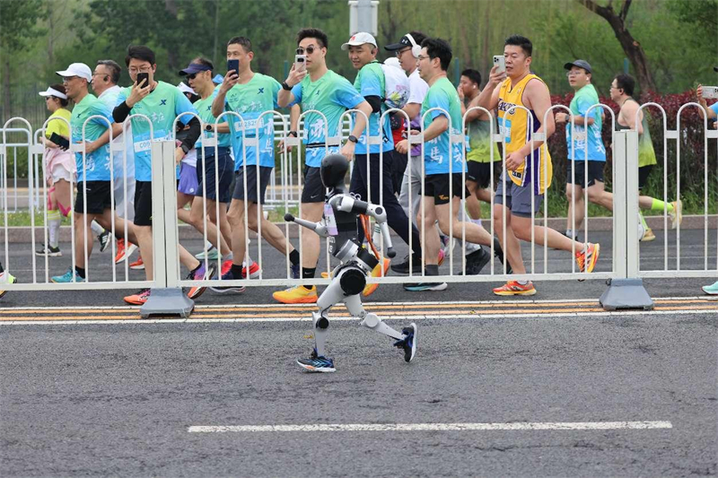 Le premier demi-marathon du robot humano?de du monde commence à Yizhuang, le 19 avril 2025 à Beijing. (Feng Junshan / Pic.people.com.cn)