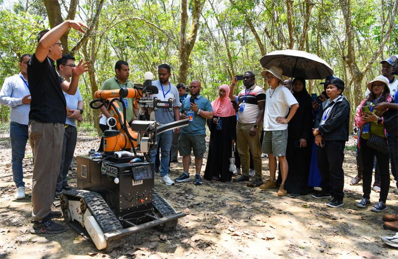 De la noix de coco au manioc : la Chine partage son savoir-faire agricole avec l'Afrique