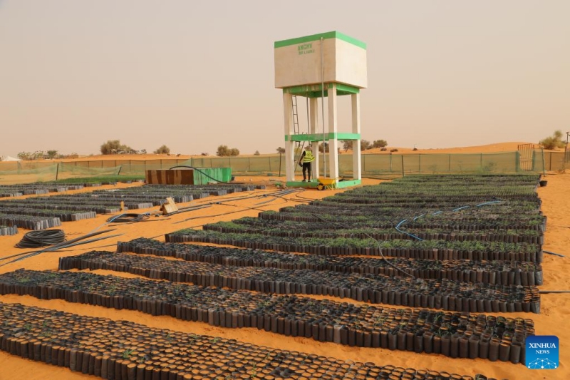 Comment les techniques de contr?le du désert chinoises stimulent les efforts d'écologisation de la Mauritanie