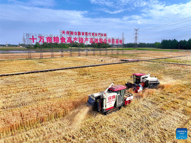 Le concours chinois d'agriculture avancée grace à l'IA entre dans sa deuxième phase