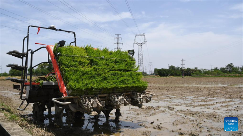 Le concours chinois d'agriculture avancée grace à l'IA entre dans sa deuxième phase