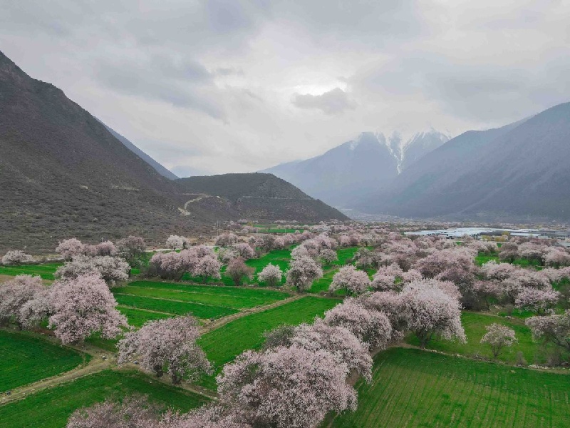 Le Xizang maintient des normes écologiques de classe mondiale