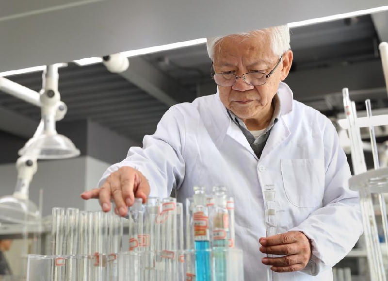 Yunnan : le professeur est témoin de la nouvelle floraison d'ottelia acuminata sur le lac Erhai