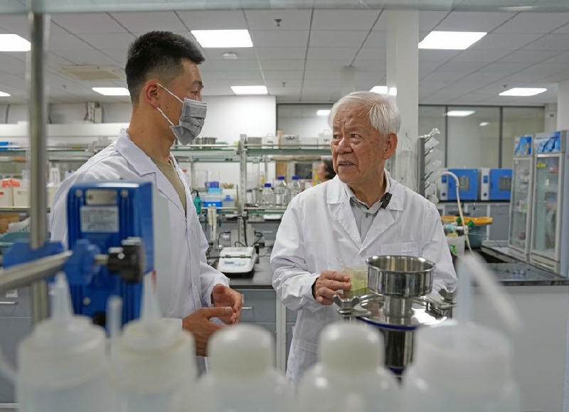 Yunnan : le professeur est témoin de la nouvelle floraison d'ottelia acuminata sur le lac Erhai