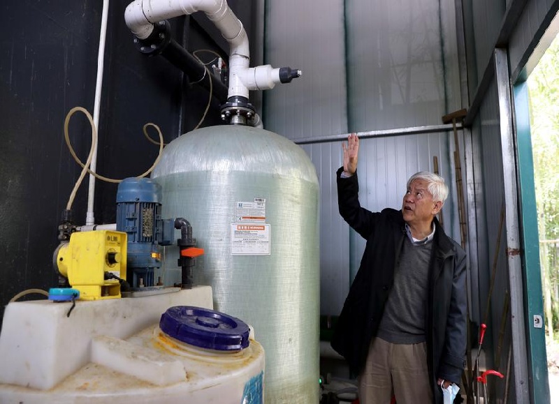 Yunnan : le professeur est témoin de la nouvelle floraison d'ottelia acuminata sur le lac Erhai