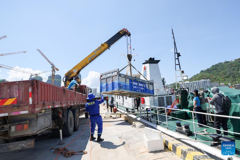 Hainan : un dauphin échoué retourne à la mer après avoir re?u des soins spécialisés à Sanya