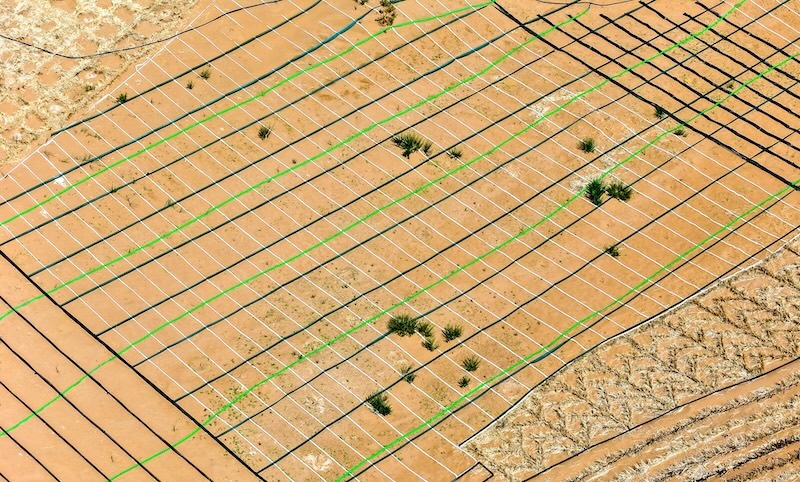 Gansu : Minqin va construire une ceinture verte à bords fermés de 380 km pour renforcer la barrière de sécurité écologique