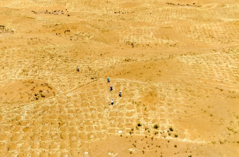 Gansu : Minqin va construire une ceinture verte à bords fermés de 380 km pour renforcer la barrière de sécurité écologique