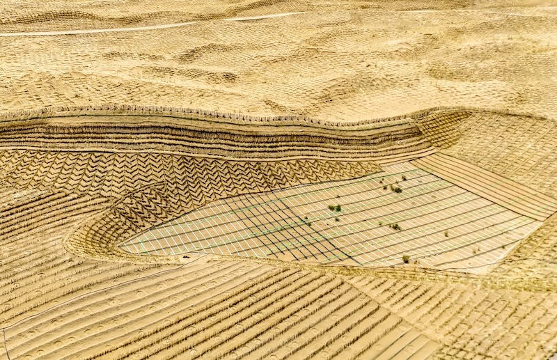 Gansu : Minqin va construire une ceinture verte à bords fermés de 380 km pour renforcer la barrière de sécurité écologique