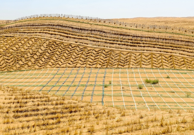 Gansu : Minqin va construire une ceinture verte à bords fermés de 380 km pour renforcer la barrière de sécurité écologique