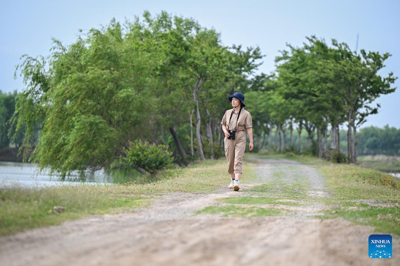 Jiangsu : une gardienne de cerfs de Milu se consacre à la recherche de l'harmonie entre l'humanité et la nature