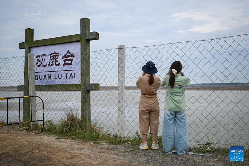 Jiangsu : une gardienne de cerfs de Milu se consacre à la recherche de l'harmonie entre l'humanité et la nature