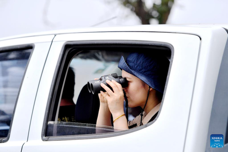 Jiangsu : une gardienne de cerfs de Milu se consacre à la recherche de l'harmonie entre l'humanité et la nature