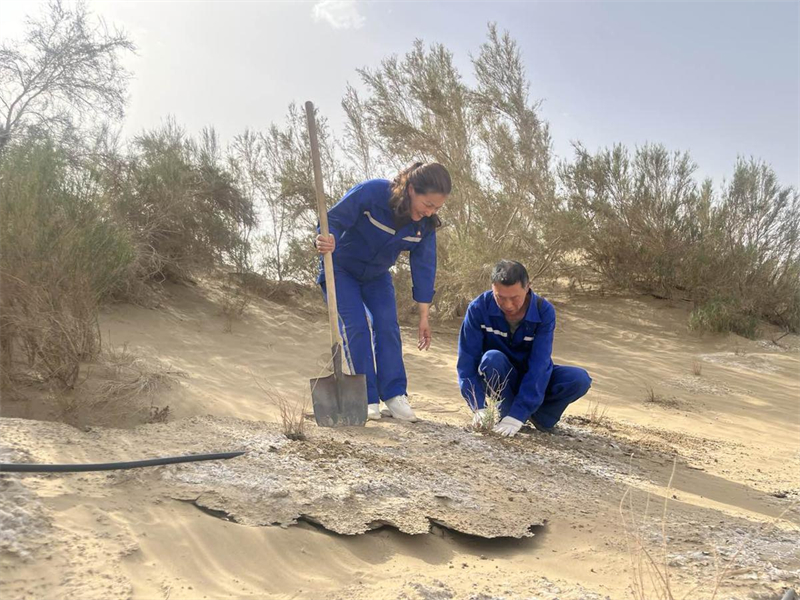 Xinjiang : un couple dévoué entretient des stations d'eau le long de la route du désert de Tarim