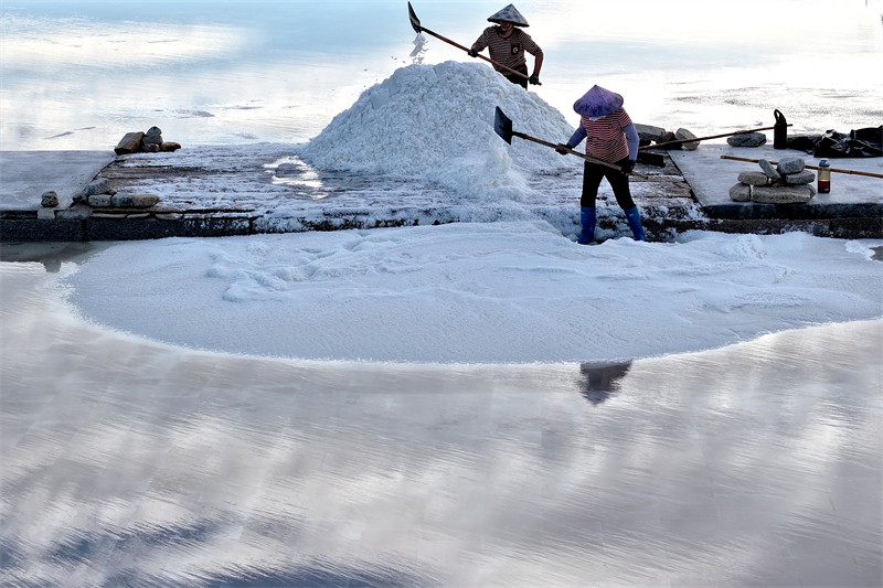 Fujian : la récolte de sel d'été bat son plein à Quanzhou