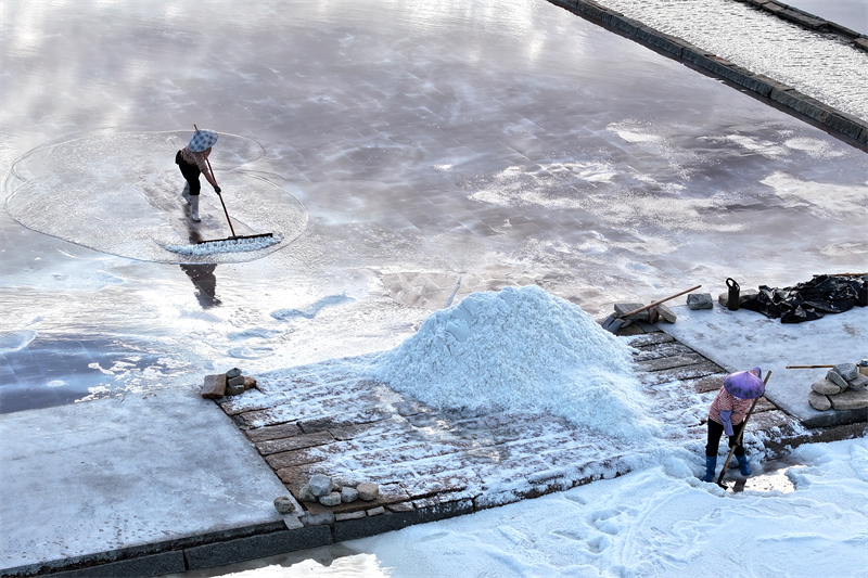 Fujian : la récolte de sel d'été bat son plein à Quanzhou