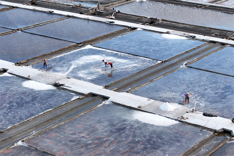 Fujian : la récolte de sel d'été bat son plein à Quanzhou