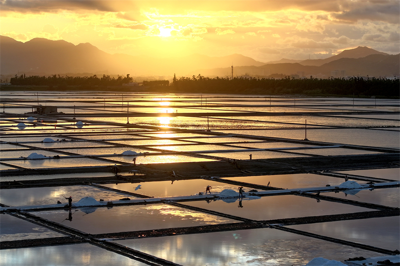 Fujian : la récolte de sel d'été bat son plein à Quanzhou