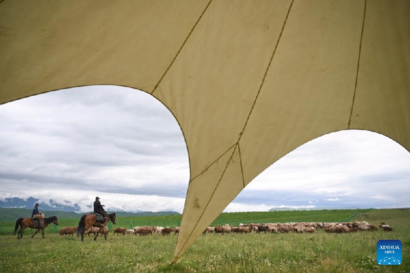 Xinjiang : ?la transhumance d'été d'un berger et de son troupeau