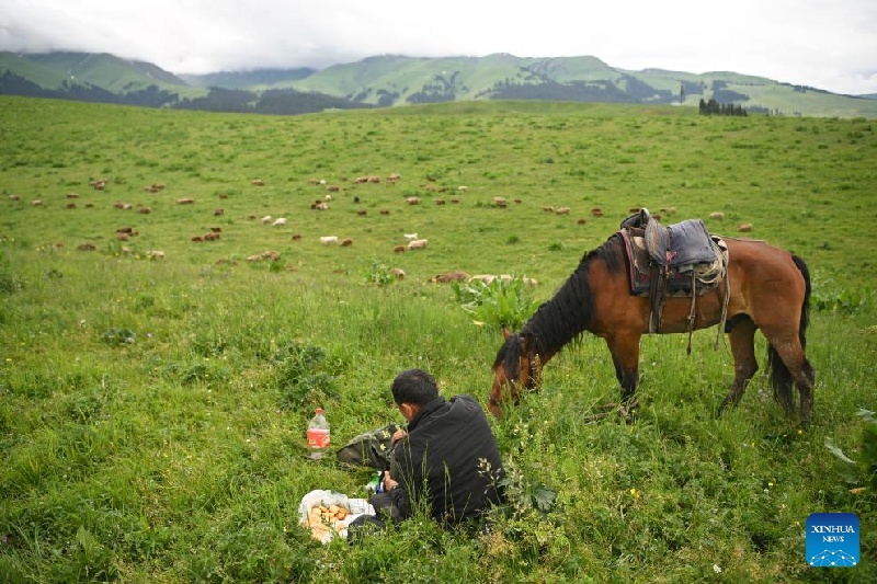 Xinjiang : ?la transhumance d'été d'un berger et de son troupeau