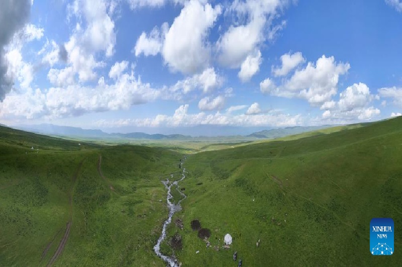 Xinjiang : ?la transhumance d'été d'un berger et de son troupeau