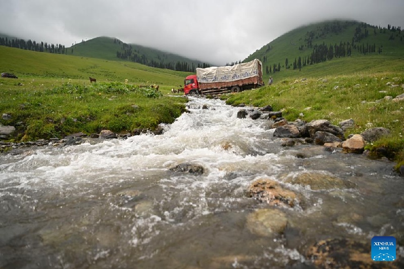 Xinjiang : ?la transhumance d'été d'un berger et de son troupeau