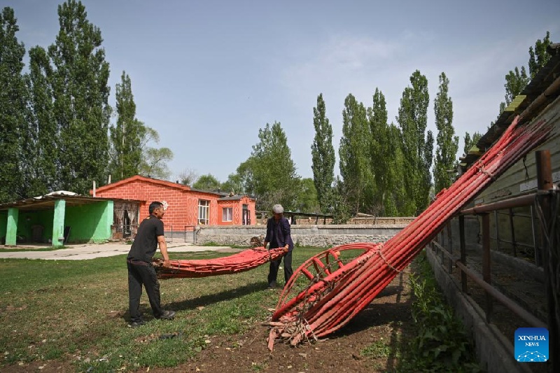 Xinjiang : ?la transhumance d'été d'un berger et de son troupeau