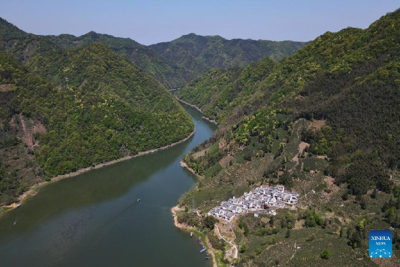 En images : patrimoine culturel immatériel national – technique de fabrication du Taiping Houkui