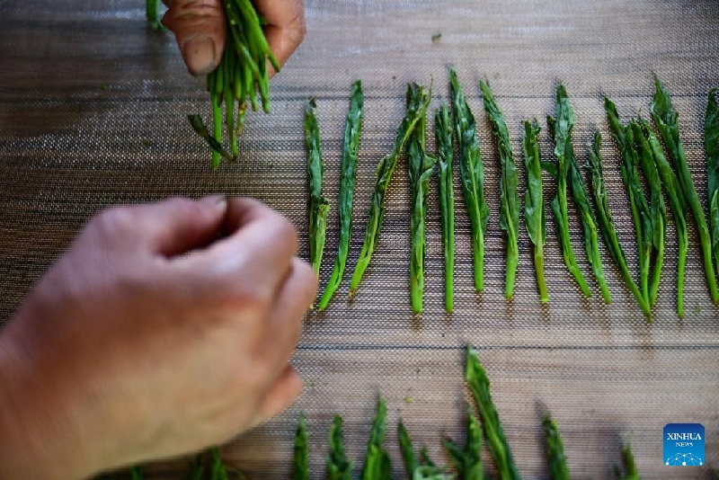 Un ouvrier transforme des feuilles de thé dans le village de Houkeng, à Huangshan, dans la province de l'Anhui (est de la Chine), le 15 avril 2025. (Zhou Mu / Xinhua)