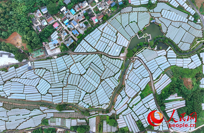 Guangxi : la ? machine sucrée ? cachée dans le petit village de montagne de Maozhushan