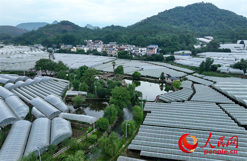 Guangxi : la ? machine sucrée ? cachée dans le petit village de montagne de Maozhushan