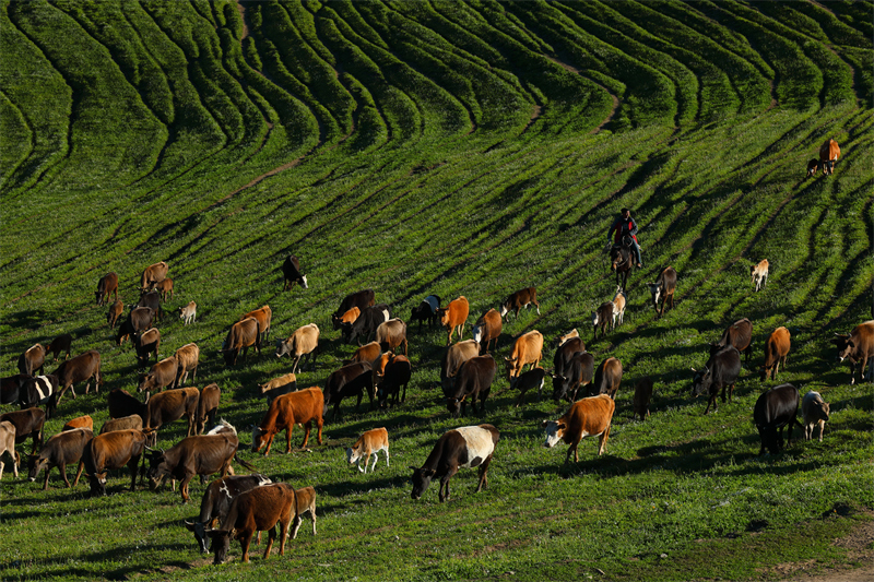 (Photo/Pic.people.com.cn)