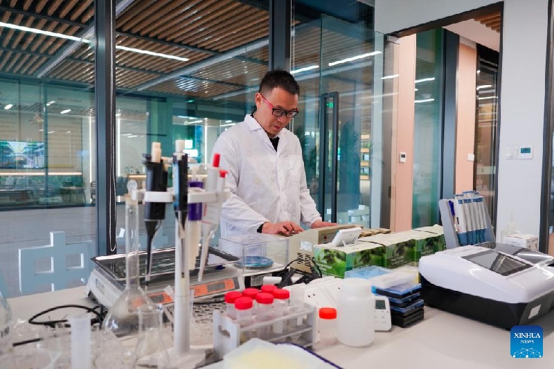 Sichuan?: à Baodun, les technologies de pointe redonnent vie aux inventions anciennes