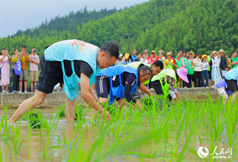 Jiangxi : une rencontre sportive amusante dans des champs en terrasses à Chongyi
