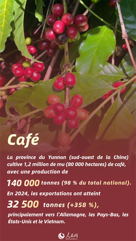 Ces produits d'ailleurs sont désormais les nouvelles spécialités chinoises