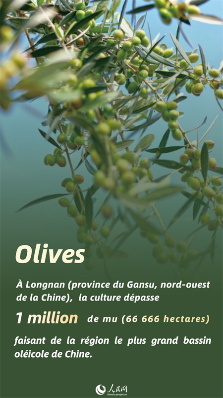 Ces produits d'ailleurs sont désormais les nouvelles spécialités chinoises