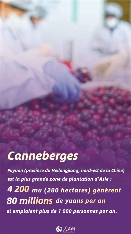 Ces produits d'ailleurs sont désormais les nouvelles spécialités chinoises