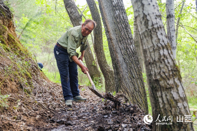 Shanxi?: depuis 43 ans, un homme transforme une vallée stérile en zone verte