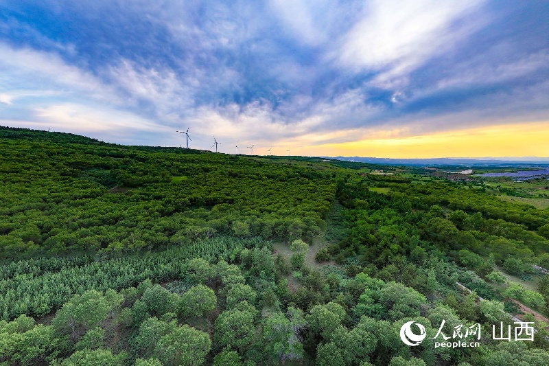 Shanxi?: depuis 43 ans, un homme transforme une vallée stérile en zone verte