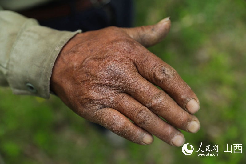Shanxi?: depuis 43 ans, un homme transforme une vallée stérile en zone verte