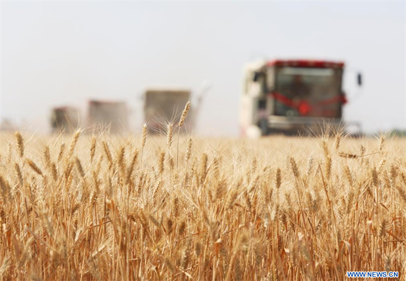 (Xinhua/Liang Zidong)