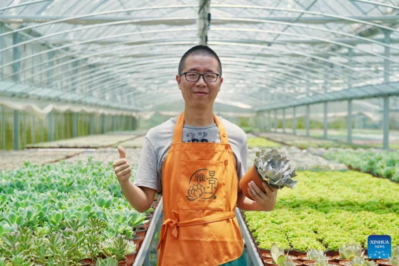 Zhejiang?: les plantes en pot ouvrent la voie à la prospérité dans les régions montagneuses de Jingning