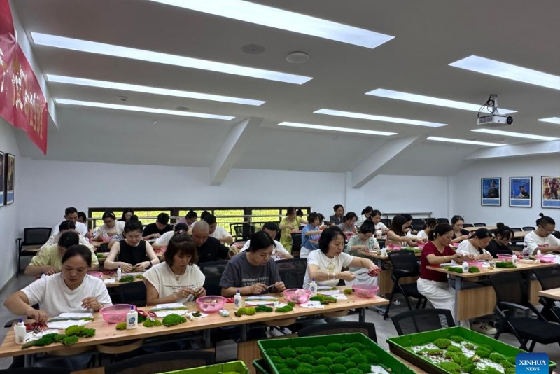 Zhejiang?: les plantes en pot ouvrent la voie à la prospérité dans les régions montagneuses de Jingning