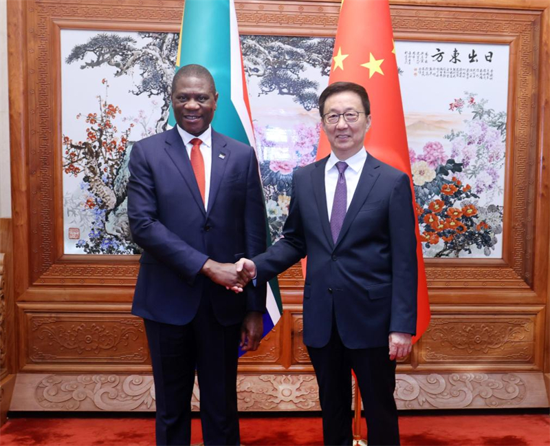 Le vice-président chinois rencontre son homologue sud-africain