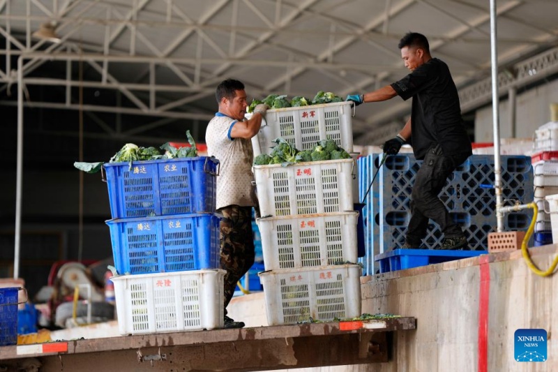 Ningxia : l'industrie des légumes de saison fra?che en plein développement à Guyan