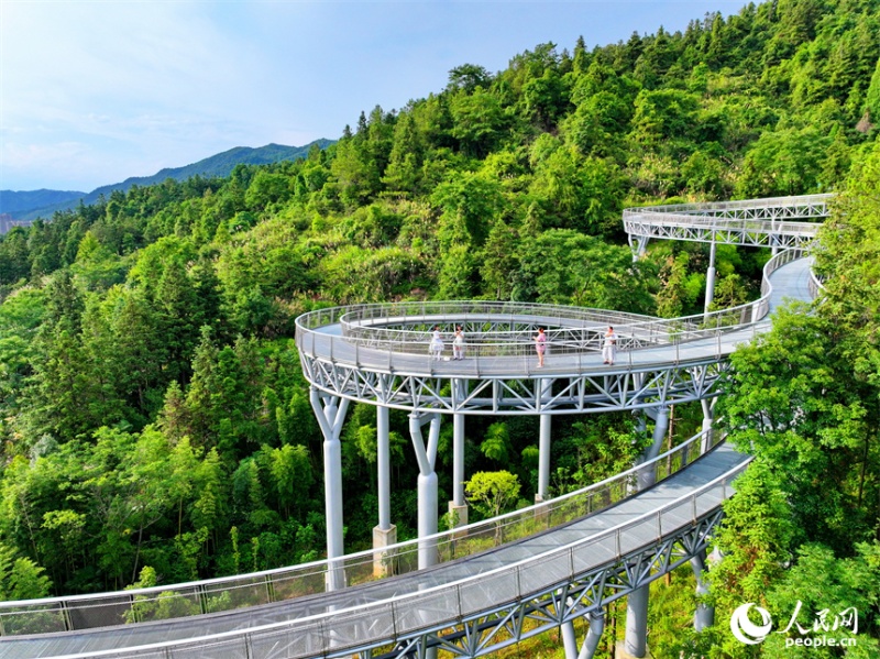 Jiangxi : un ? corridor flottant dans la forêt ? devient un endroit de choix pour le fitness et les loisirs à Chongyi