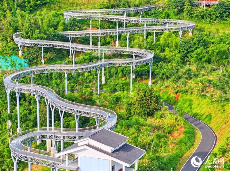 Jiangxi : un ? corridor flottant dans la forêt ? devient un endroit de choix pour le fitness et les loisirs à Chongyi