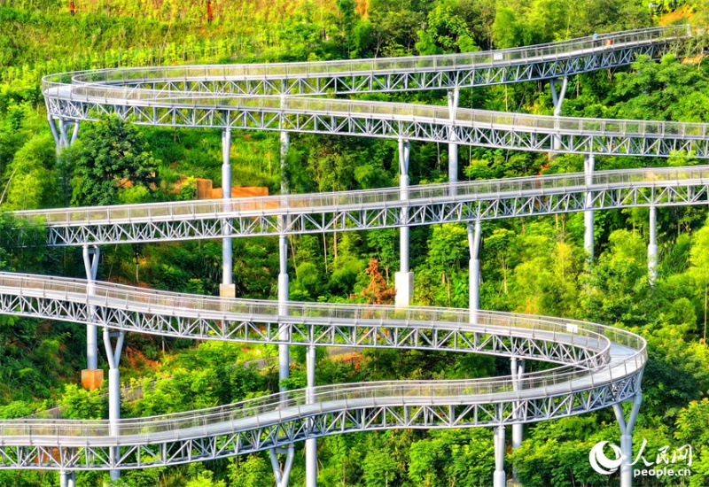 Jiangxi : un ? corridor flottant dans la forêt ? devient un endroit de choix pour le fitness et les loisirs à Chongyi